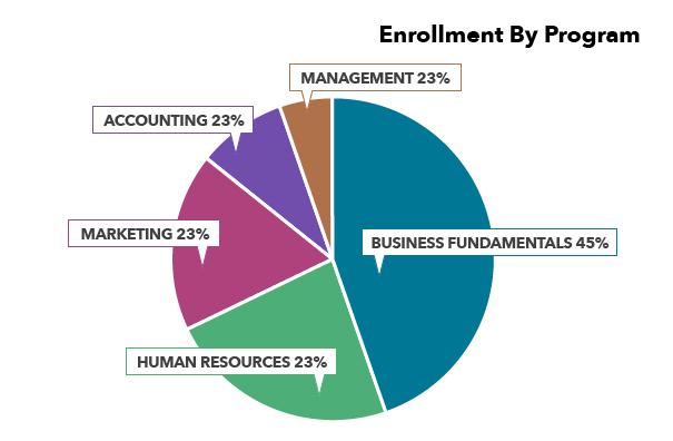 Pie Chart Example